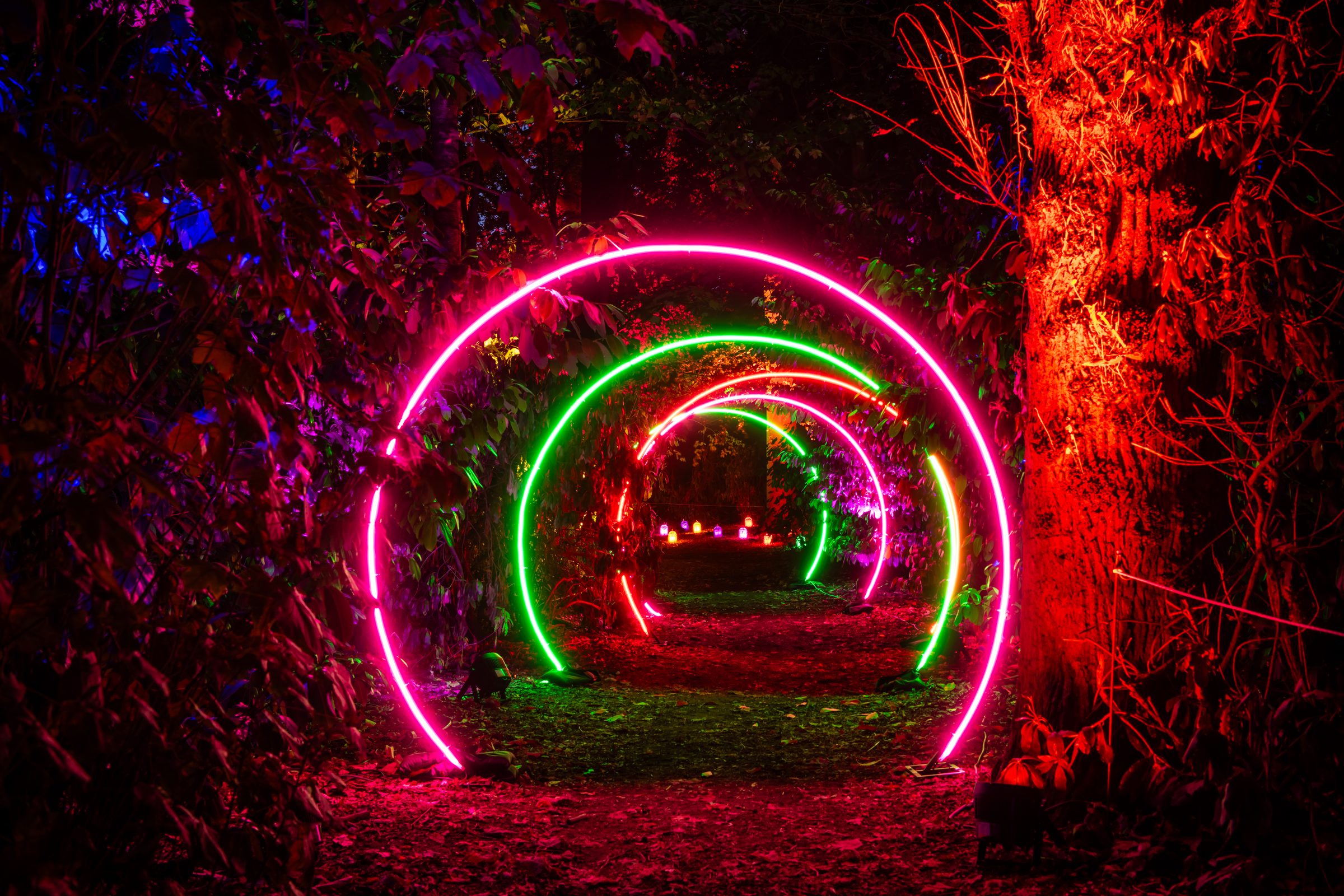 Illuminated neon light arches along the trail